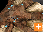 Pherapod